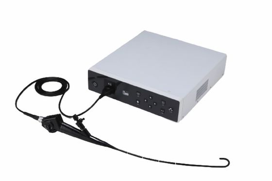 εύκαμπτο τηλεοπτικό ενδοσκόπιο Bronchoscope 6mm