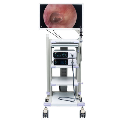 Ιατρικό καροτσάκι 664mmx638mmx1650mm Hysteroscopic ενδοσκοπίων